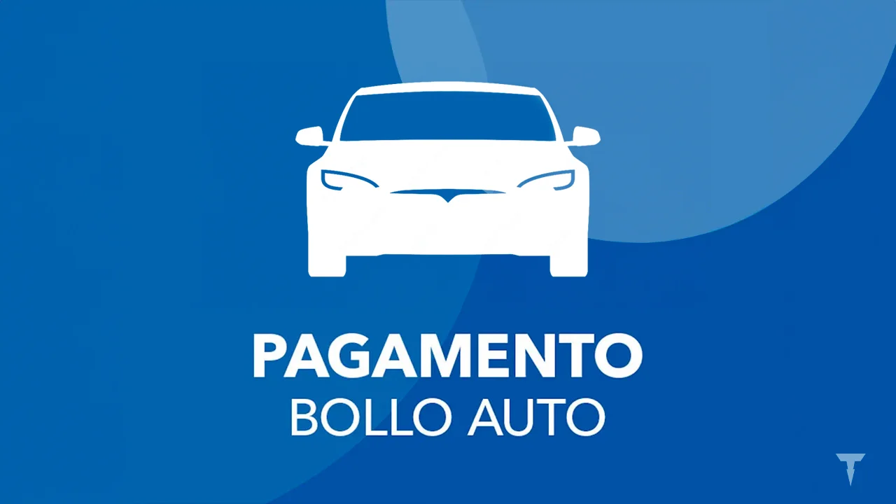 Immagine selezionata