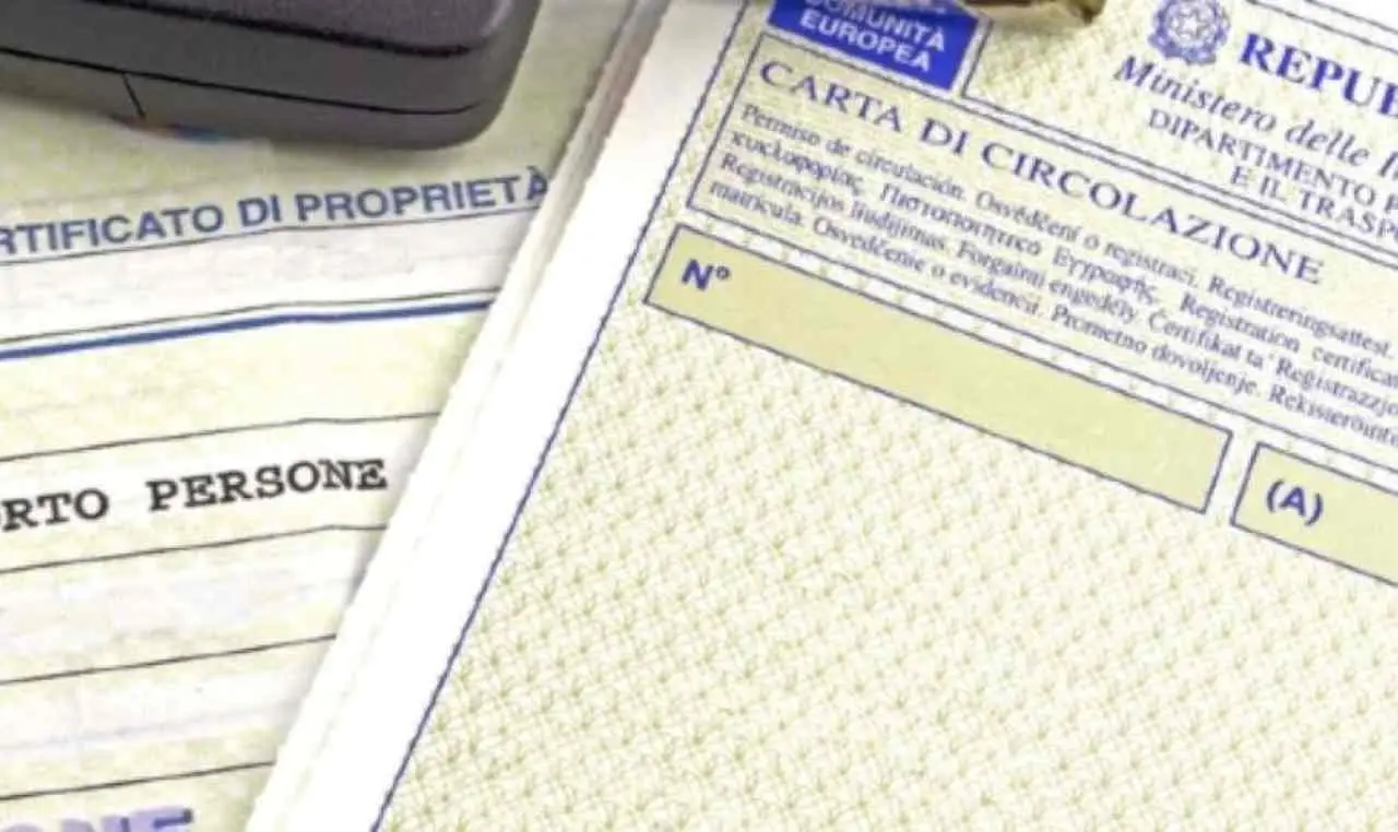Immagine selezionata